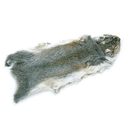 Cała skóra wiewiórki szarej Grey Squirrel Skin whole
